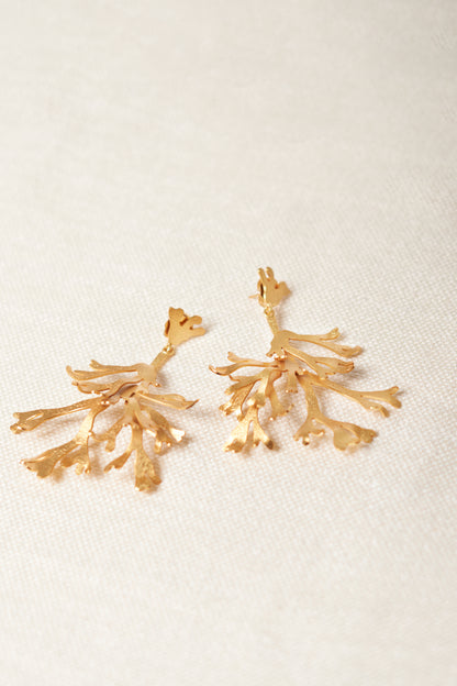 Fungi Earrings