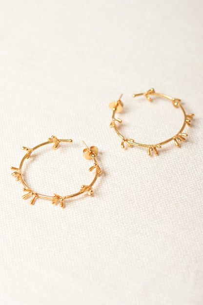 Nudib Hoops